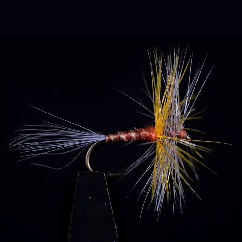 Araignée JMC 601 H14 (x3)