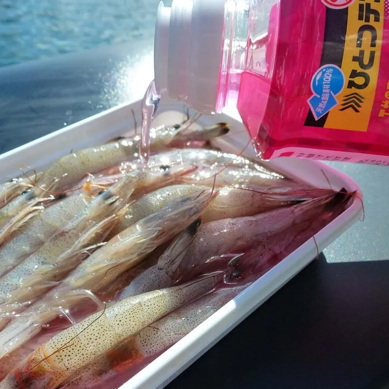 Attractant Marukyu EBISHAKI