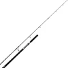 Canne Berkley Battalion Solid Offshore Casting Rod 2m28 30-180g