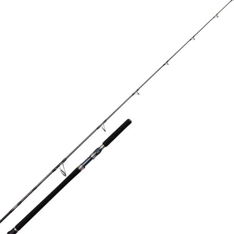 Canne Berkley Battalion Solid Offshore Casting Rod 2m28 30-180g