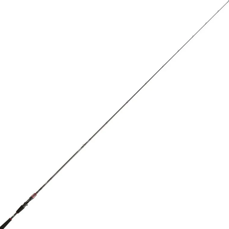 Canne casting Daiwa Steez AGS 711 MHXB 2,19m 7-28g