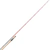 Canne casting Tenryu Injection bc 80 xxh 2.40m, 80-200g