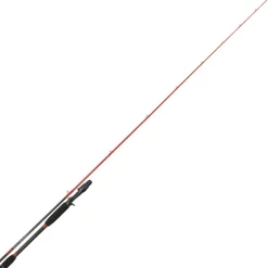 Canne casting Tenryu injection bc 81 h 2,46m 20-80g