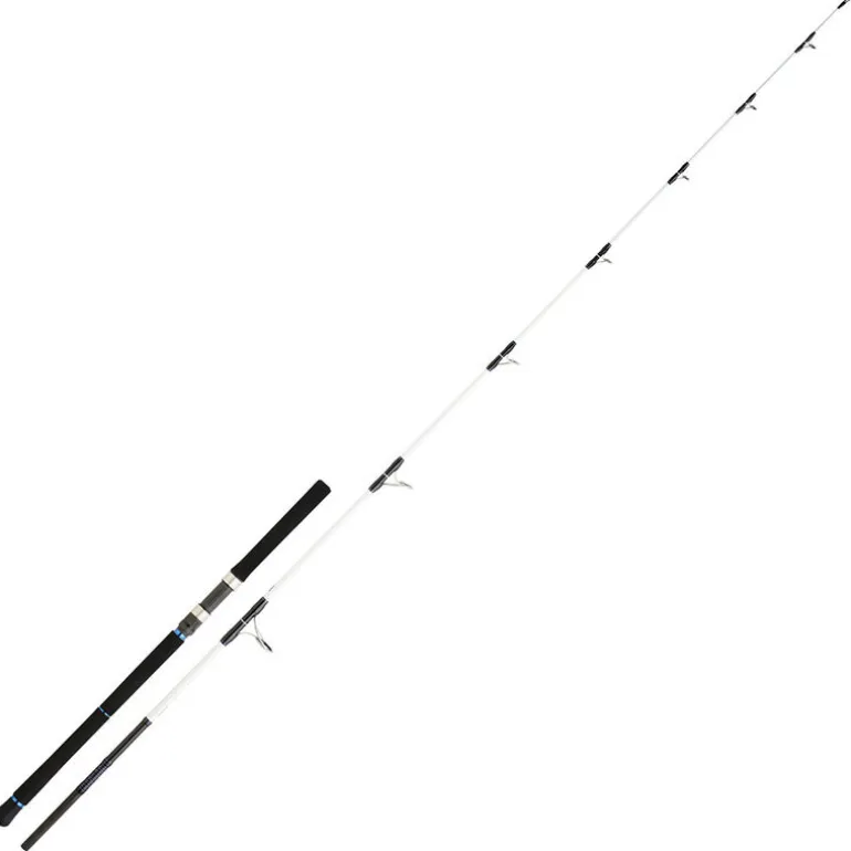 Canne lancer Daiwa saltist 862xh 2.59m 50/130g