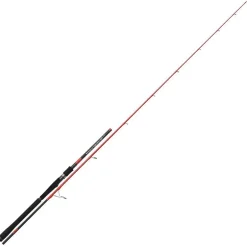 Canne Lancer Tenryu SP 79 Injection 2.40m 30/80g