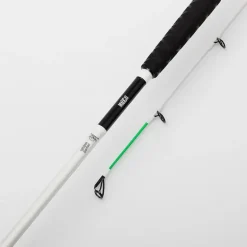Canne Madcat Whit Pellet 3m15 200-300g