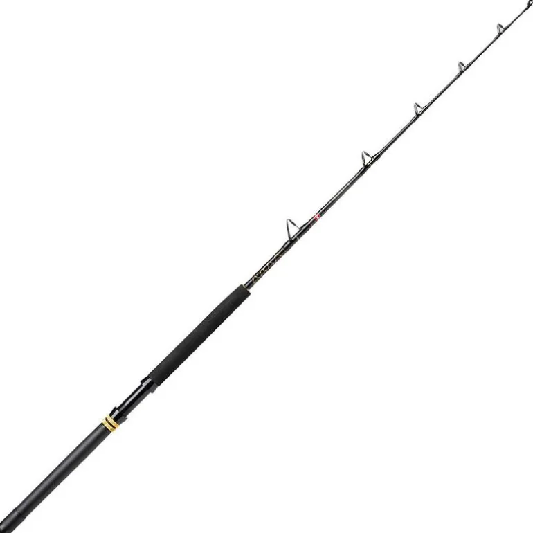 Canne Penn Squall II trolling 30-80lb