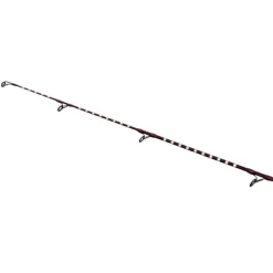 Canne Shimano Power Surf H 425 BX 4.25m 225g