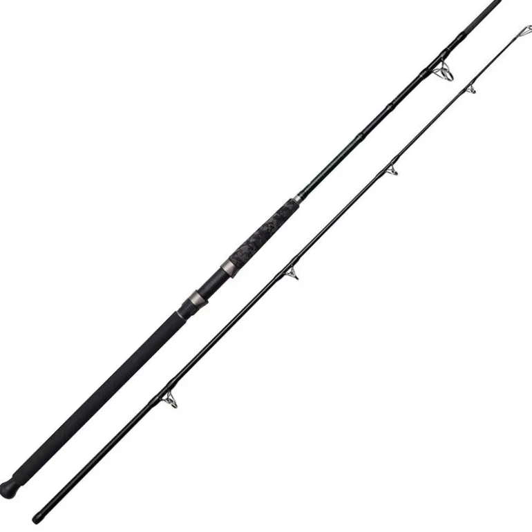 Canne silure bouée madcat black heavy duty 3.00m 200-300g