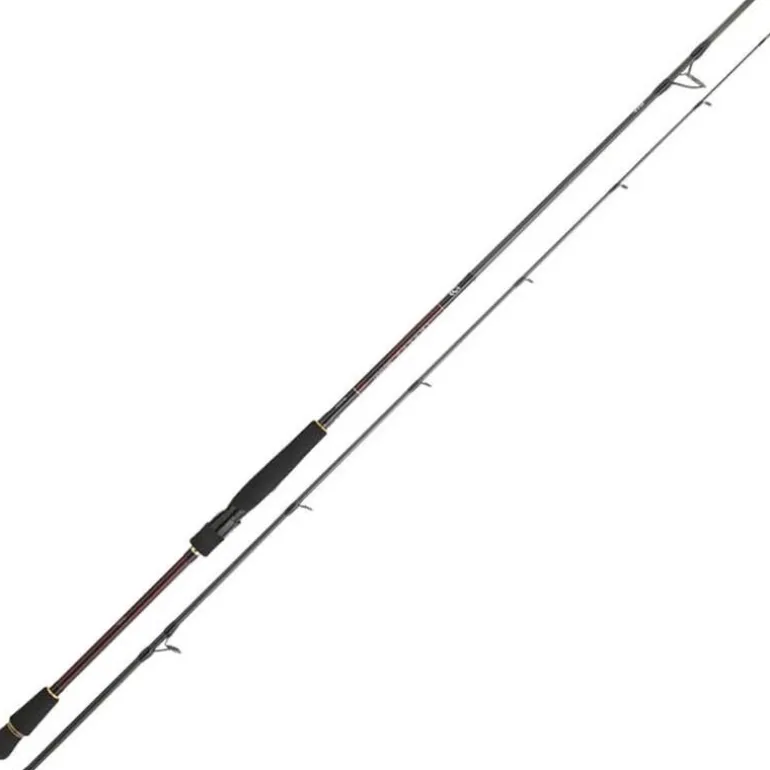 Canne Spinning Daiwa Infeet Seabass 2.44m