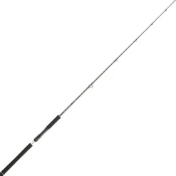 Canne Spinning Daiwa Legalis Jigging 1m91