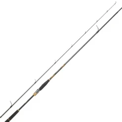 Canne Spinning DAIWA Morethan Branzino Expert 2m24 10-35g