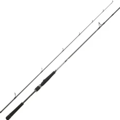 Canne Spinning DAIWA Saltist Seabass 2m44 14-42g