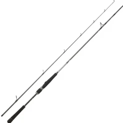 Canne Spinning DAIWA Saltist Seabass 2m13 14-42g