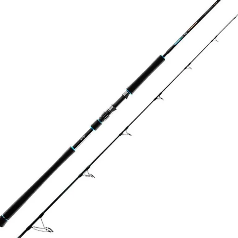 Canne Spinning Favorite Sx1 2.44m