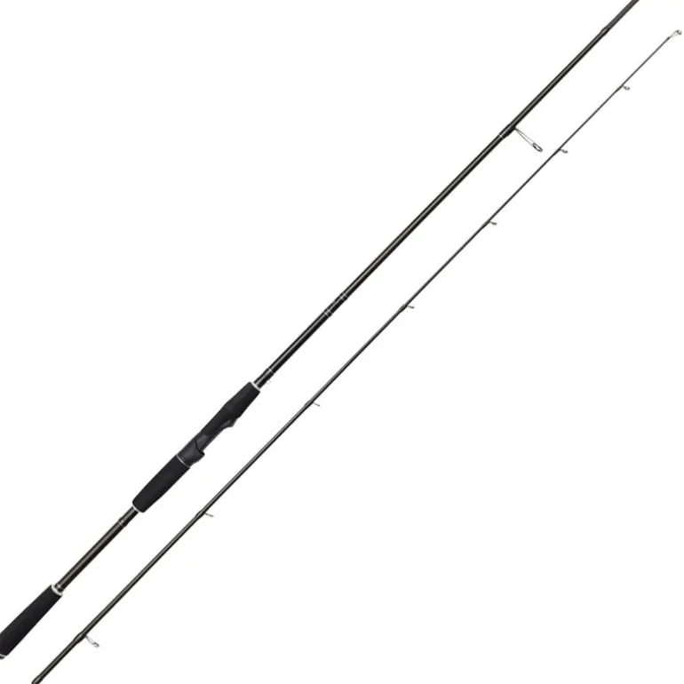 Canne Spinning WESTIN W2 Finesse Shad 2m70 12-38g
