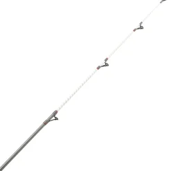 Canne Surfcasting DAIWA Shorecast Surf X 2024 4m20 100-200g