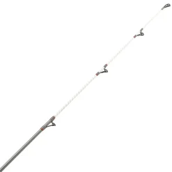Canne Surfcasting DAIWA Shorecast Surf X 4m20 100-200g