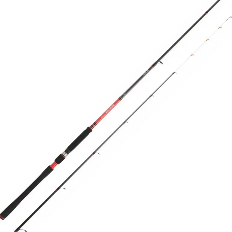 Canne Tenya Daiwa powermesh 242h 2.40m 20-70g