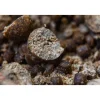 Dumbell Cap River Gold Crayfish pot de 35gr