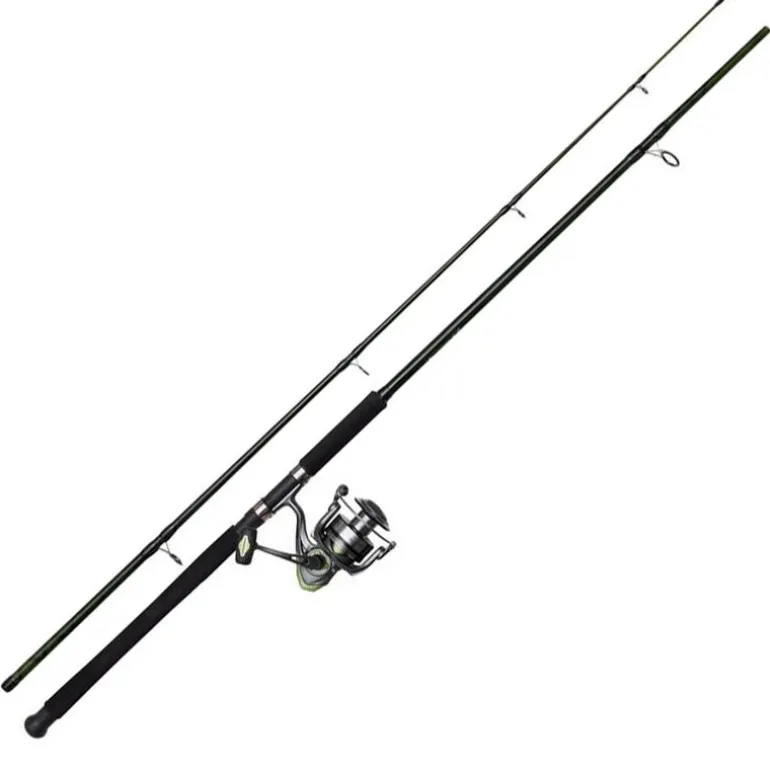 Ensemble DAM Full Cat XP Heavy-D 2m70 150-250g