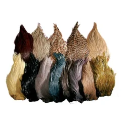 Fly tying cou de coq indien teint jmc