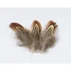 Fly tying plume de faisan jmc
