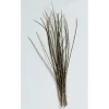 Fly tying plumes jmc herl de paon