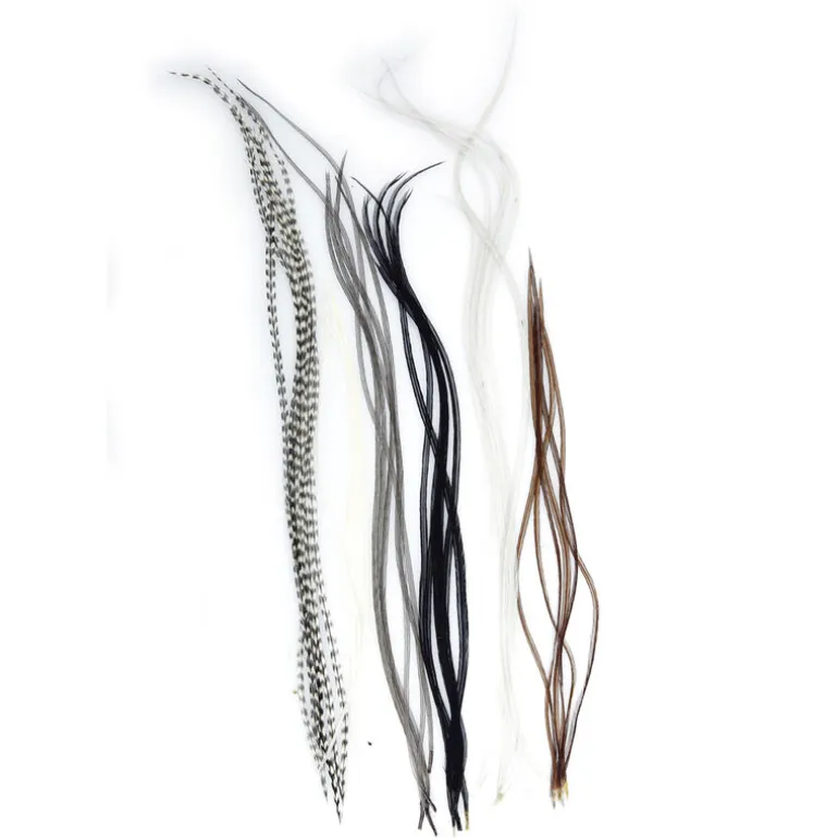 Fly tying plumes jmc lancettes top grade (6 plumes)