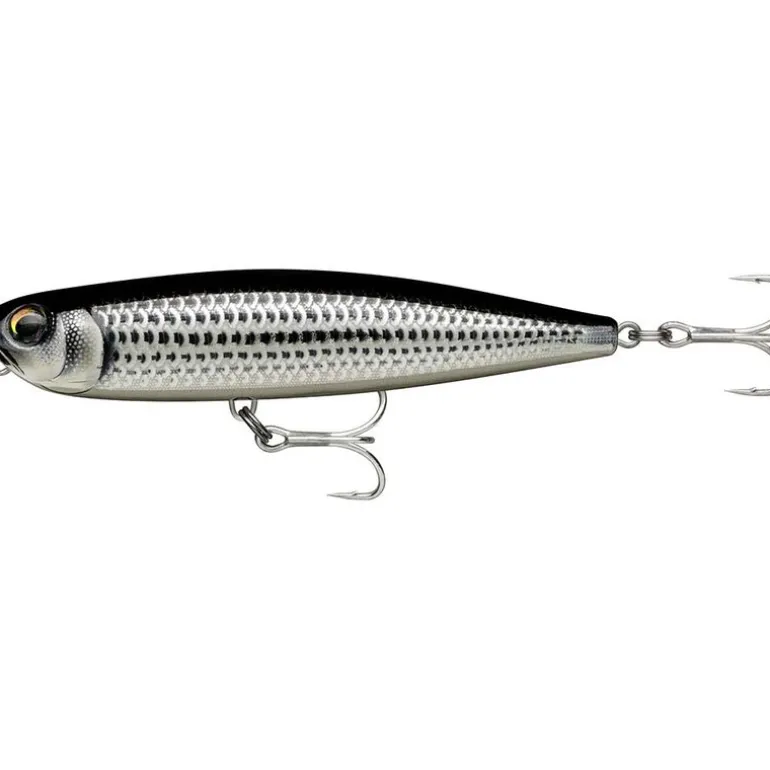 Leurre de Surface Pencil Rapala Precision Xtreme 10.7cm, 21g