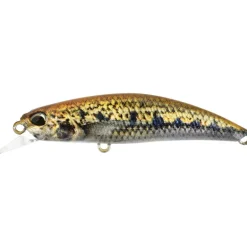 Leurre Dur Jerkbait Duo Ryuki 60S Spearhead 6cm, 5g
