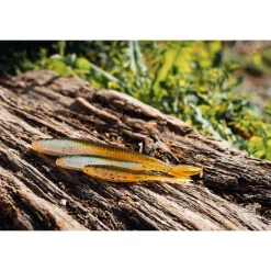 Leurre Souple Finess Evok Versatil Minnow 6