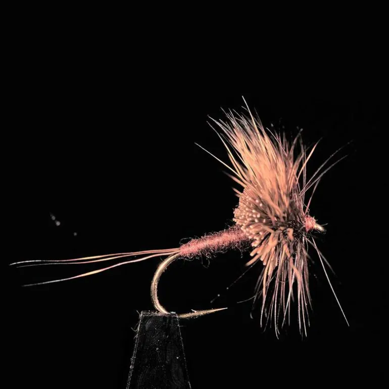 March Brown JMC 15 H12 (x3)