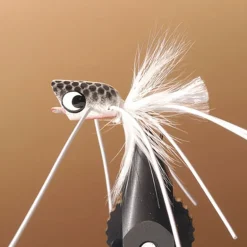 Mouche jmc popper bass 24 t8