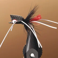 Mouche jmc popper bass 22 t8