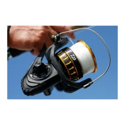 Moulinet daiwa bg black gold 4500