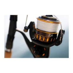 Moulinet Daiwa bg black gold 2500