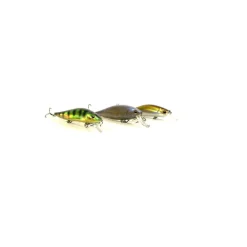 Pack Eco Casting