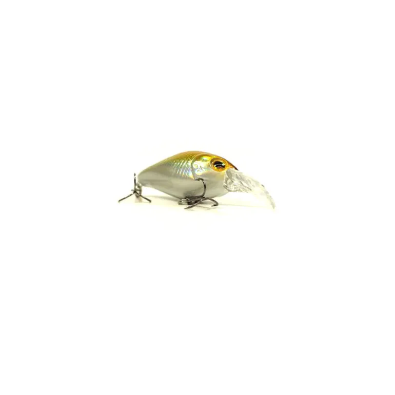 Pack Eco Petit Carnassier V2
