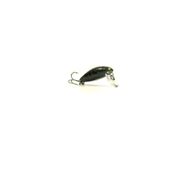 Pack Eco Petit Carnassier V2