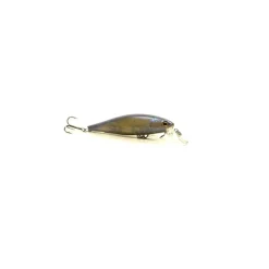 Pack Prêt à Pêcher Brochet Bzone Striker 240MH 10-45g + Moulinet + Nylon + Leurres + Boite