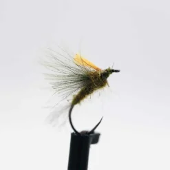 Sèche CDC Olive H18 (x3)