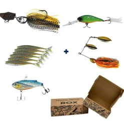 Starter Pack Noel
