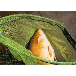 Tête d'épuisette Teos Folding Net 650