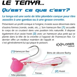 Tête plombée explorer tackle magic tenya shallow coque